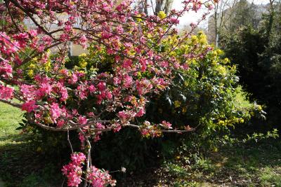 Прикрепленное изображение: DSC02465-1.jpg